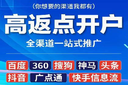 百度推广的投放策略与效果分析